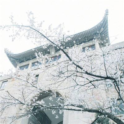 关二爷饶命正版下载