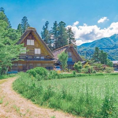 人民网人民体育与中建八局投资发展公司达成战略合作