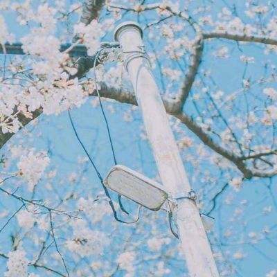 嘟嘟皇城满v版下载
